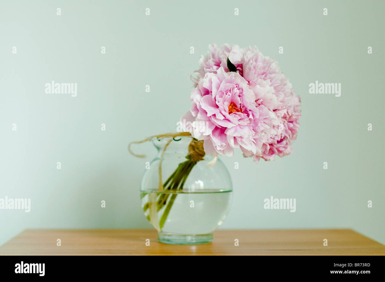Un bouquet de pivoines rose dans un vase sur une table. Banque D'Images