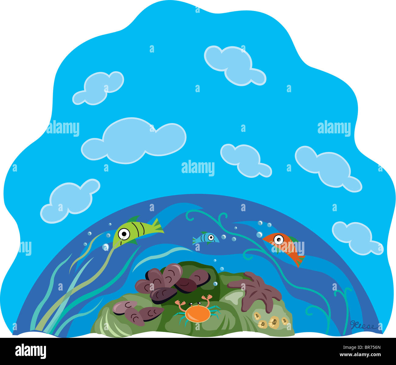Une Image De Poissons Nageant Dans La Mer Avec Un Crabe Et D - 