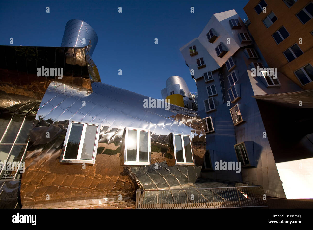Le logiciel Stata center for Computer Sciences de l'information et du renseignement conçu par le célèbre architecte Frank O. Gehry Banque D'Images
