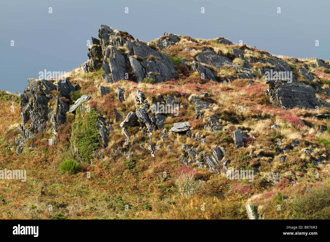 Mont d'arrée mountain top, Bretagne, Finistère, France Banque D'Images