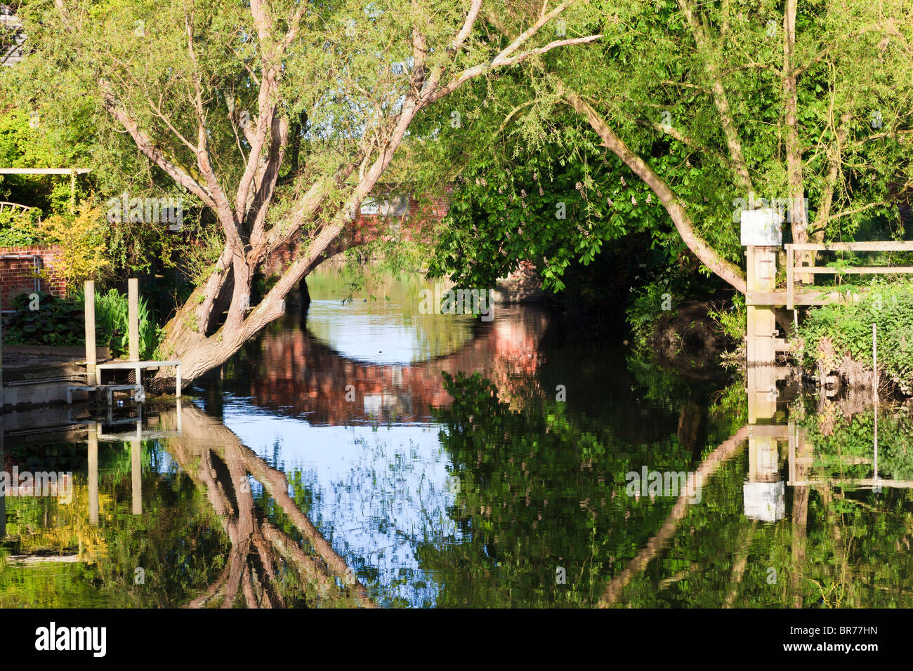 Arbre de pont et réflexions sur la rivière Stour, dans le village de Fordwich, Canterbury, Kent, UK Banque D'Images
