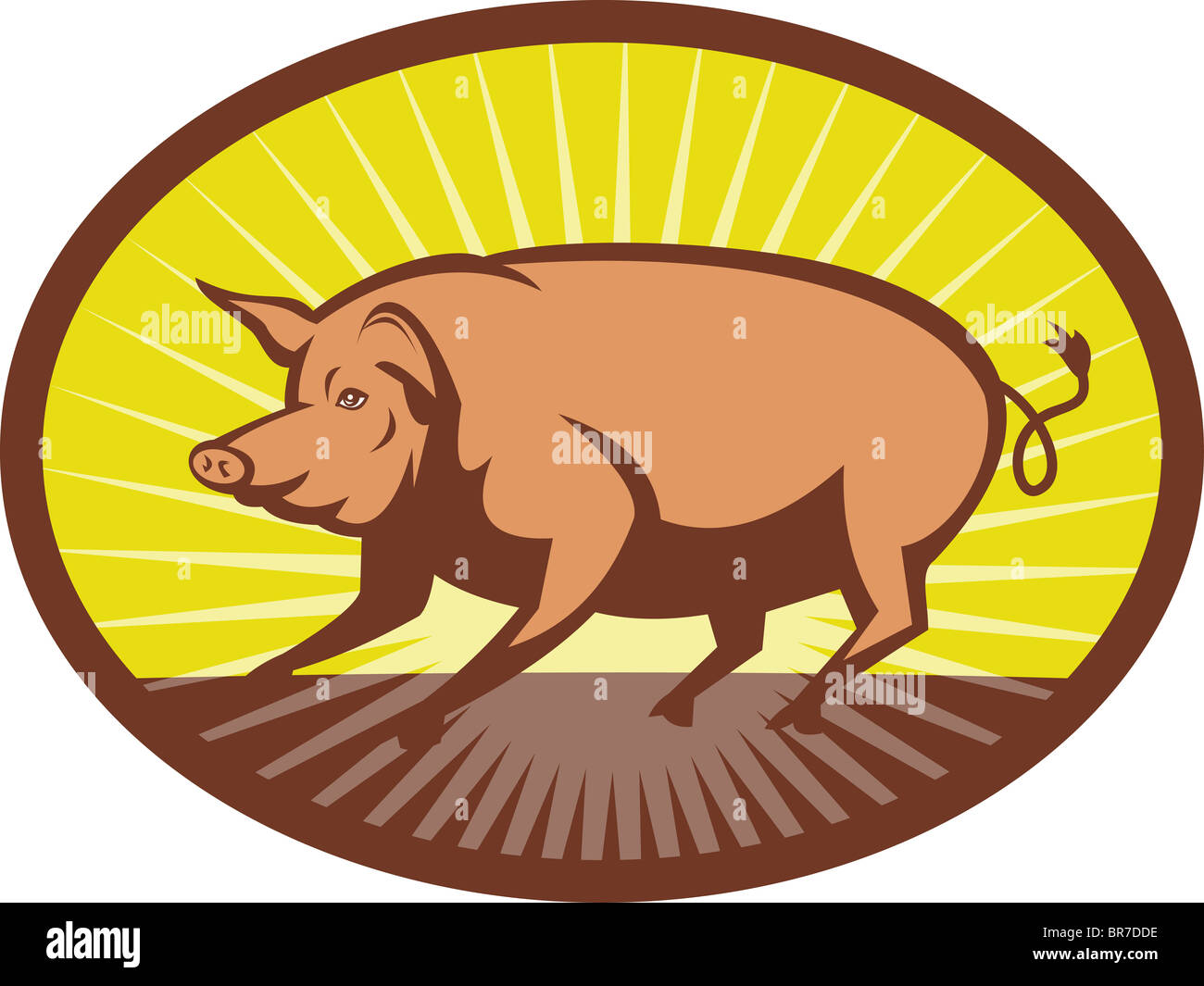 Vue du côté de porc avec la solarisation en arrière-plan défini à l'intérieur d'une ellipse fait en style retro illustration Banque D'Images Vue du côté de porc avec la solarisation en arrière-plan défini à l'intérieur d'une ellipse fait en style retro illustration Banque D'Images