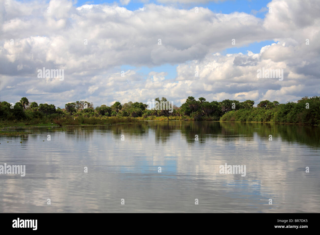 Lakescape à Selous, Tanzanie Banque D'Images