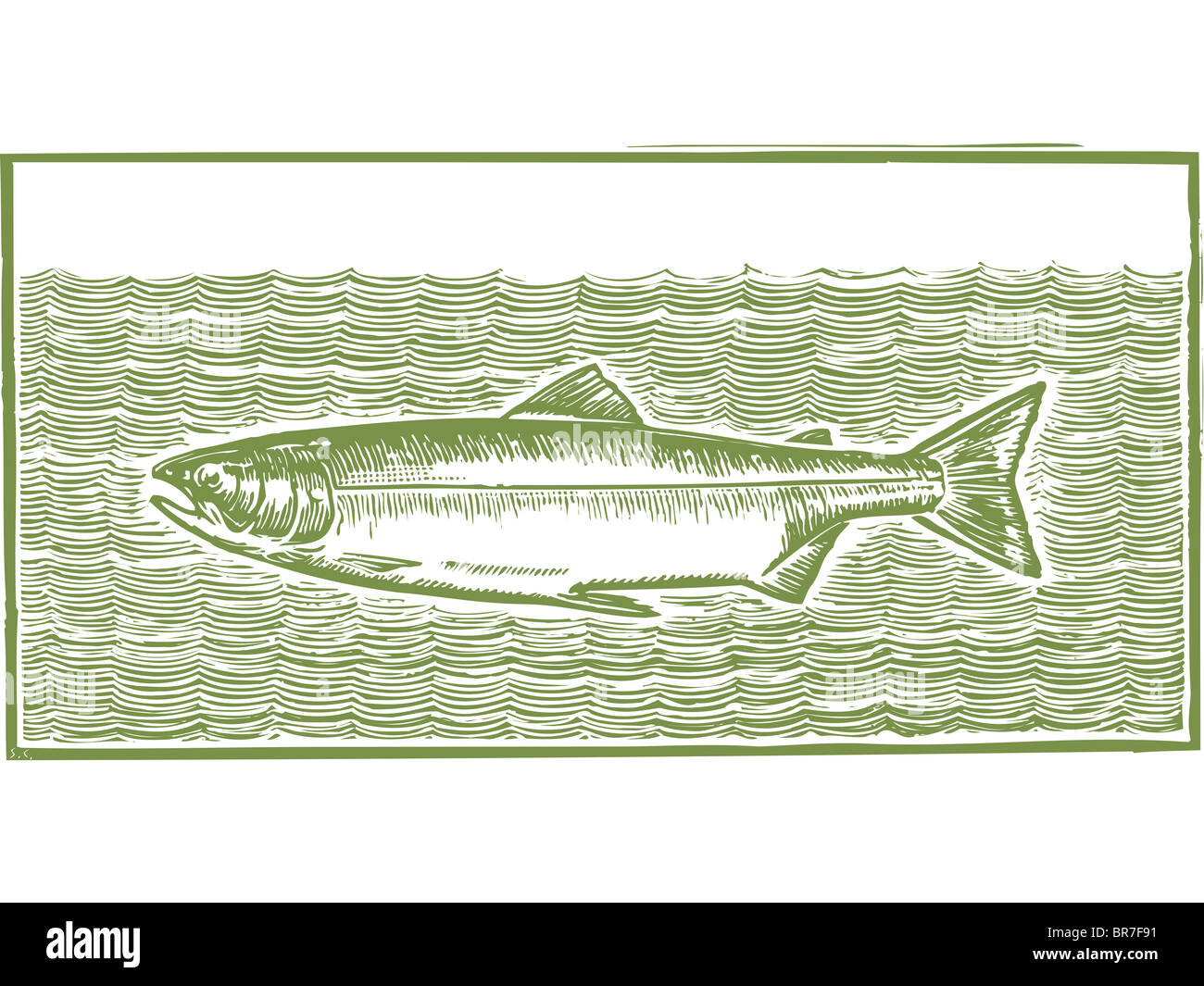 L'image d'un poisson dans un un style de gravure Banque D'Images