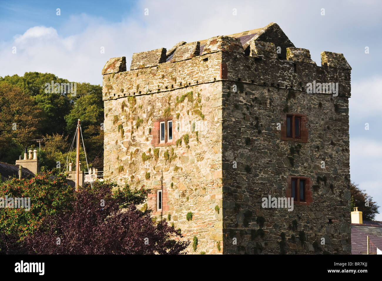 Strangford Castle, surplombant le port de Strangford Lough, comté de Down, Irlande du Nord Banque D'Images