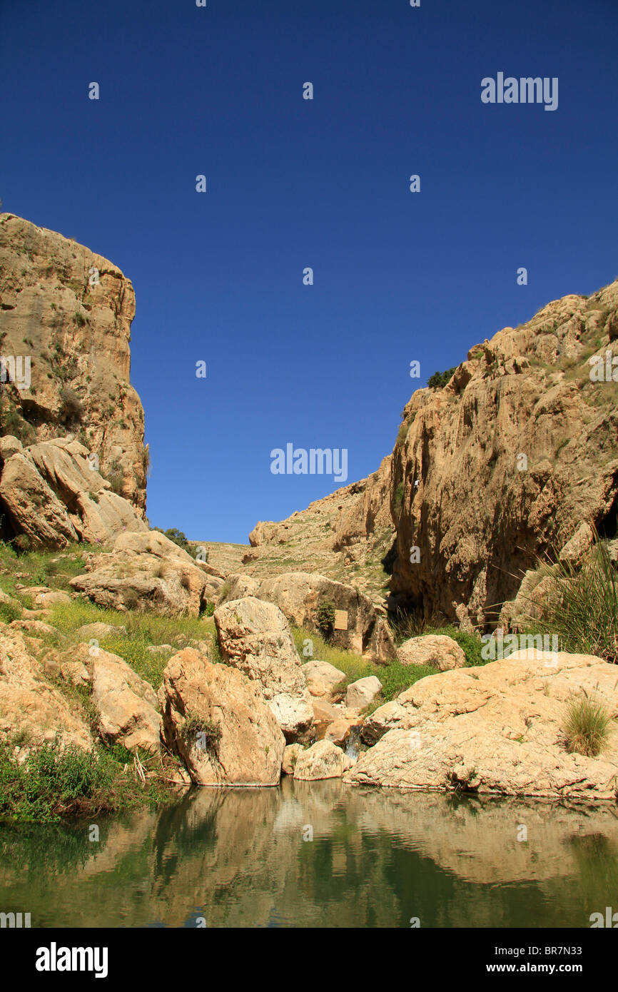 Désert de Judée, Ein Prat (Ein Fara) dans le Wadi Qelt Banque D'Images