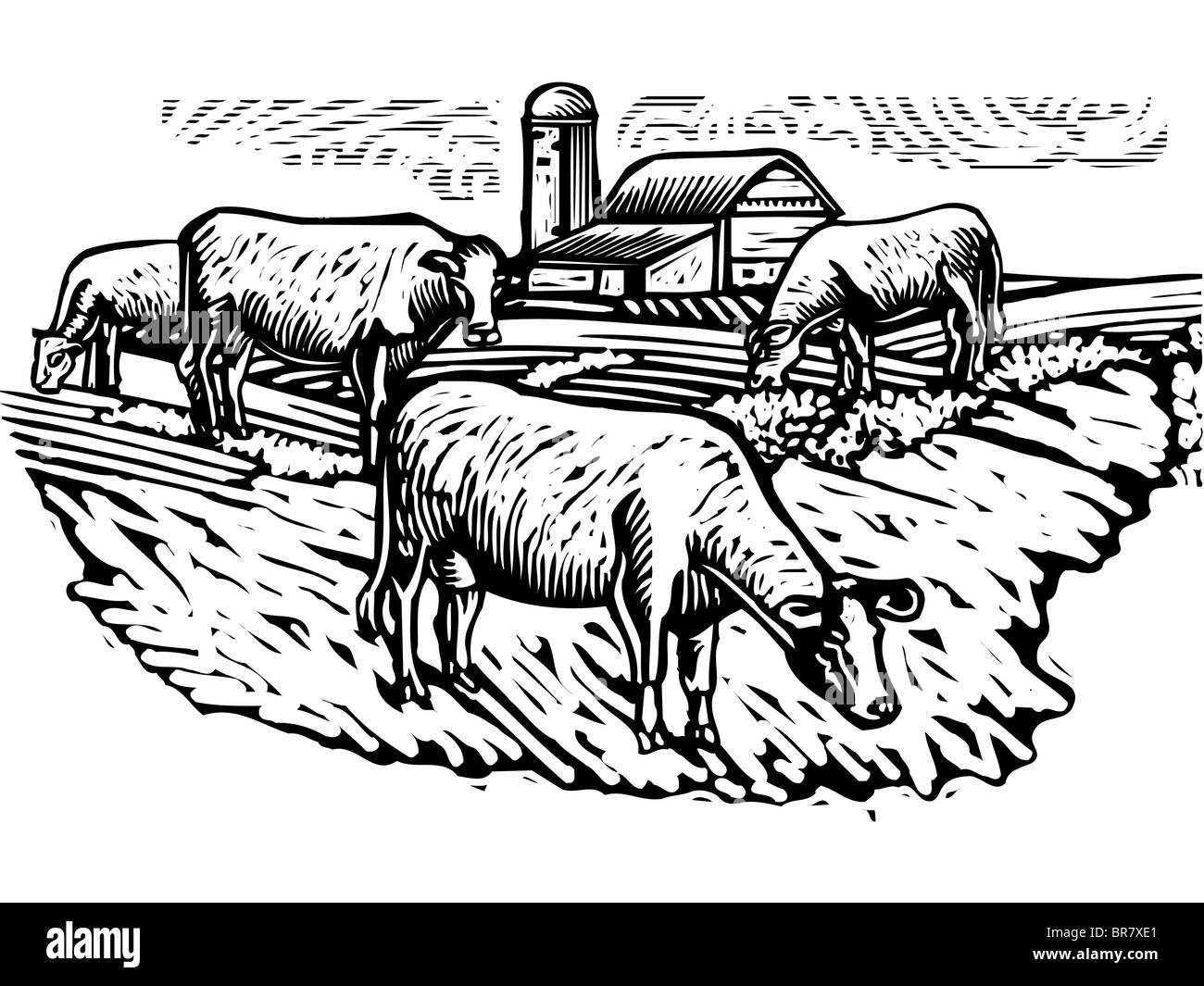 Illustration noir et blanc de vaches broutant dans un pâturage avec un bâtiment en arrière-plan Banque D'Images