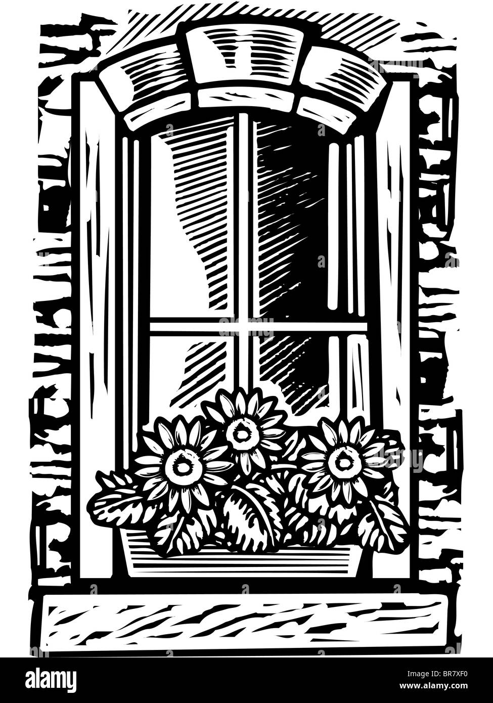 Fenêtre Fenêtre avec fort de fleurs, noir et blanc Banque D'Images