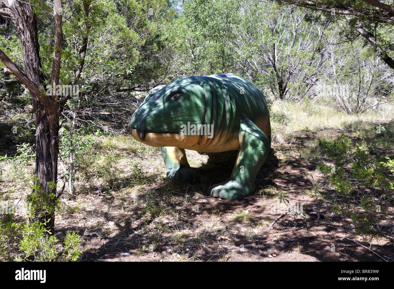 Lystrosaurus, Dinosaur World, Glen Rose, Texas, États-Unis Banque D'Images