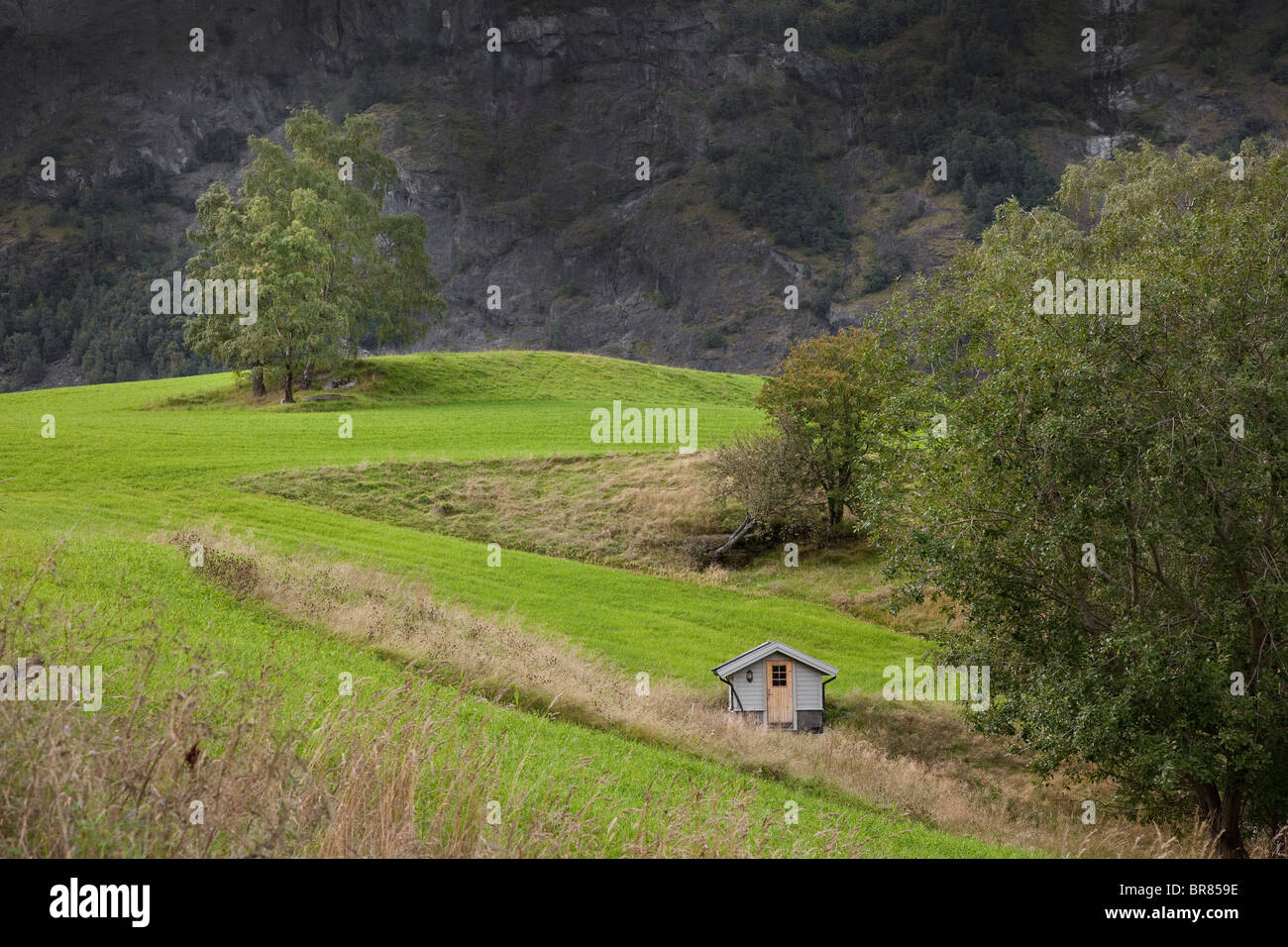 La Norvège petite ferme avec grange, Olden Banque D'Images