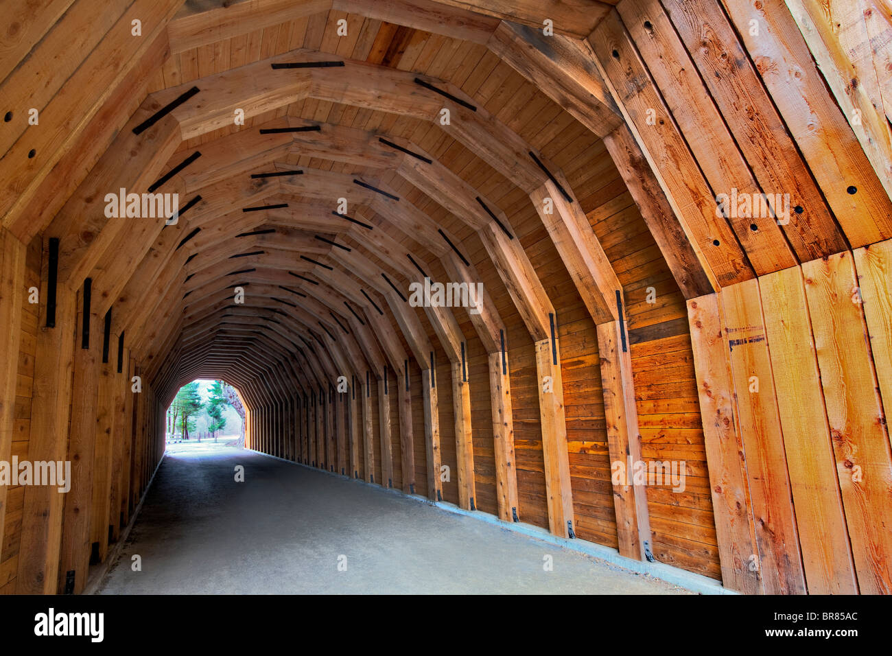 Oneonta Tunnel. La route du fleuve Columbia historique. 2009 restauré Banque D'Images