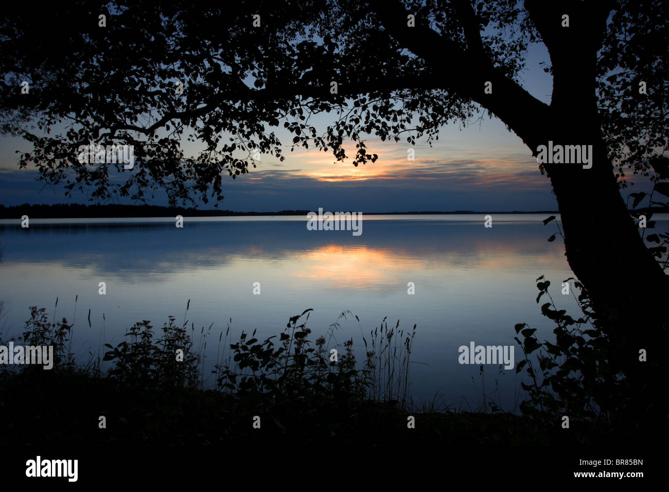 Coucher du soleil à Saadjärve lake, de l'Estonie, de l'Europe. Banque D'Images