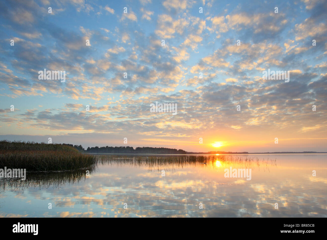Coucher du soleil sur le lac Saadjärv, Estonie Banque D'Images