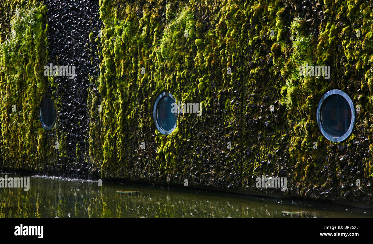 Tons de vert mousse couvrant un mur de roche de lave avec trois fenêtres de hublot, le bâtiment de l'hôtel de ville à Reykjavik, Islande, Europe, ville d'été Banque D'Images