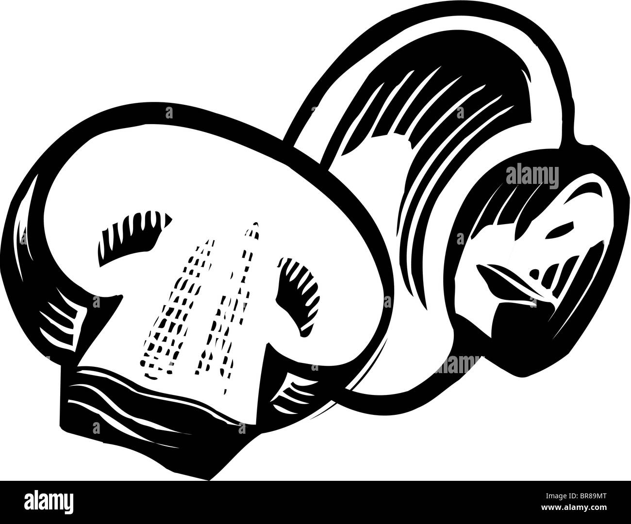 Un dessin de champignons de Paris en noir et blanc Banque D'Images