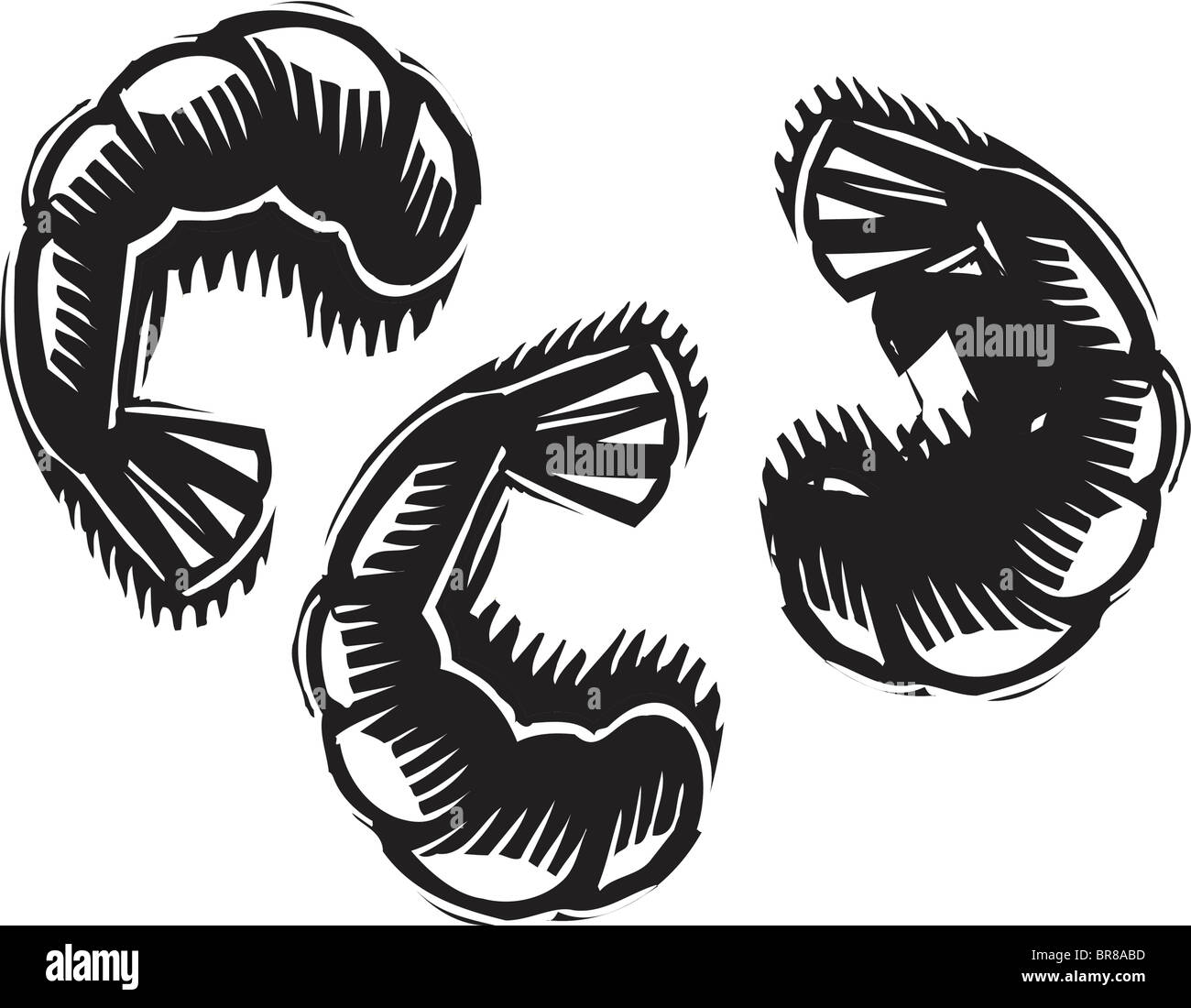 Une illustration en noir et blanc de trois crevettes Banque D'Images