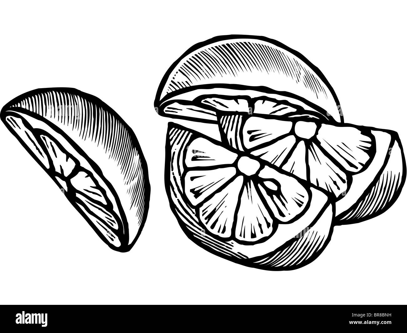 Un Dessin En Noir Et Blanc De Quartiers De Citron Photo Stock Alamy