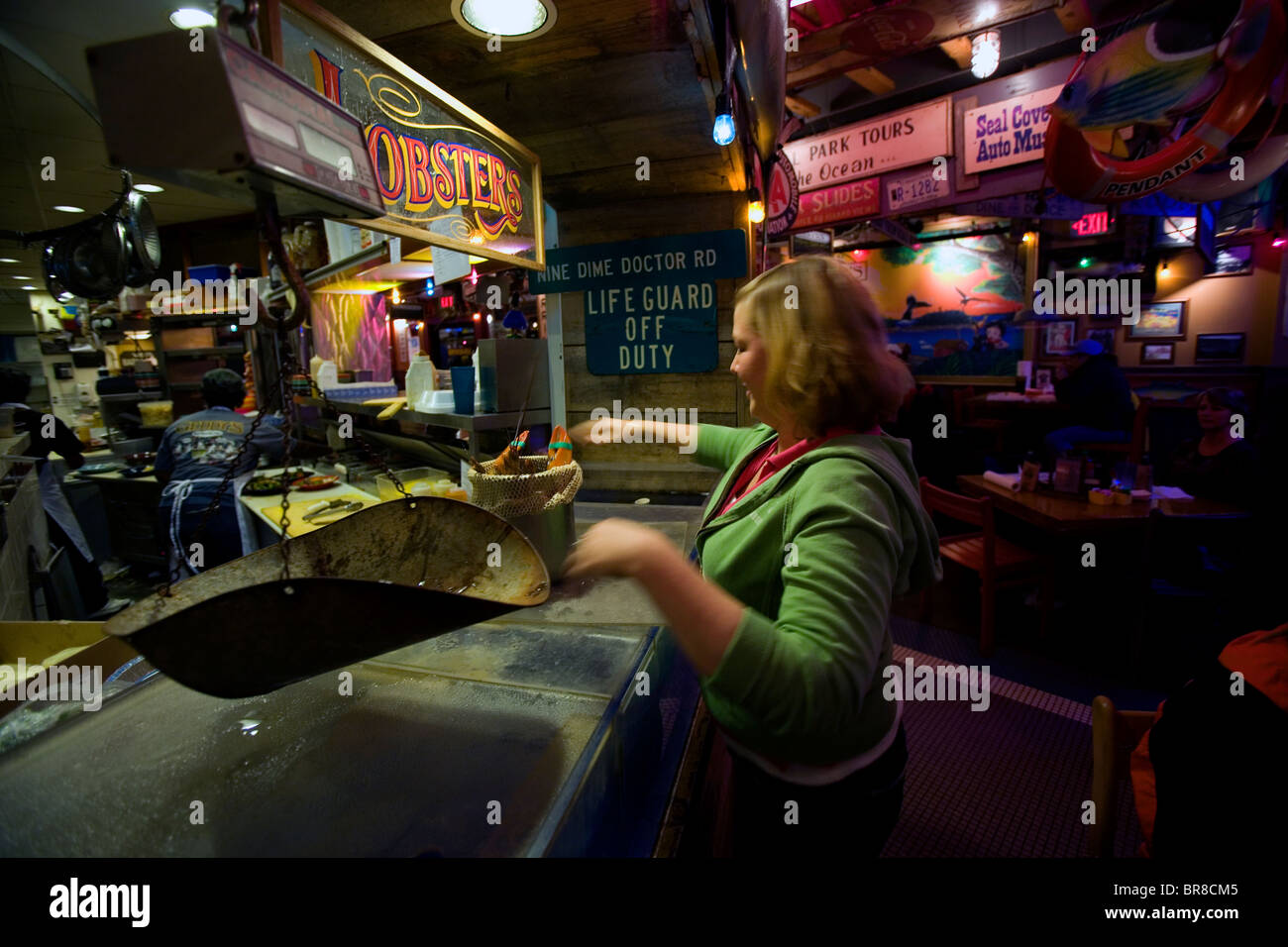 Femme pèse un homard à Geddy's Restaurant à Bar Harbor Maine. Banque D'Images