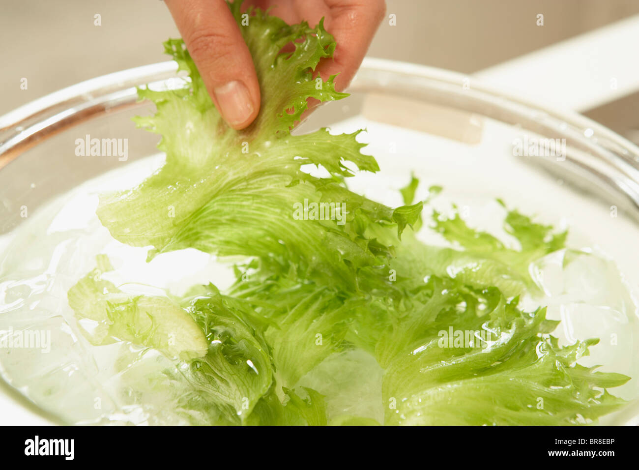Woman making salad, Close up Banque D'Images