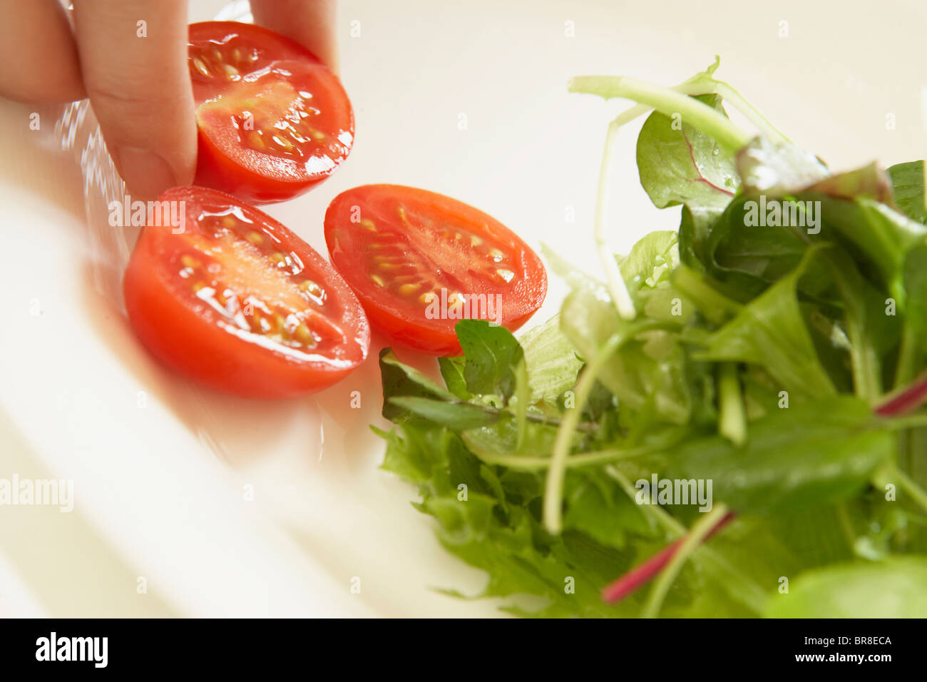 La laitue et les tomates cerise sur la plaque, Close up Banque D'Images