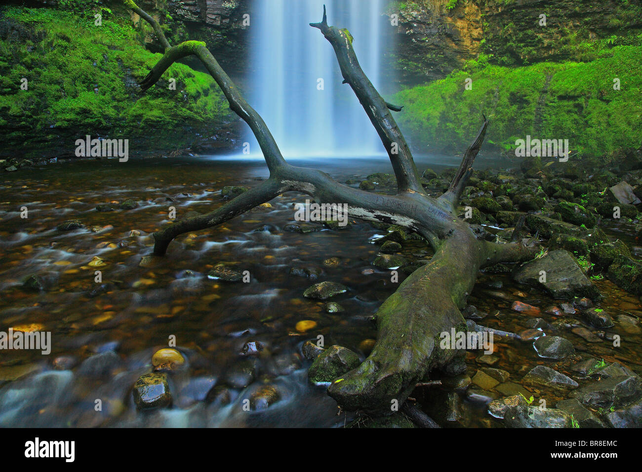 Chutes d'Henrhyd ; Vallée de Neath, Galles du sud ; Royaume-Uni. Banque D'Images