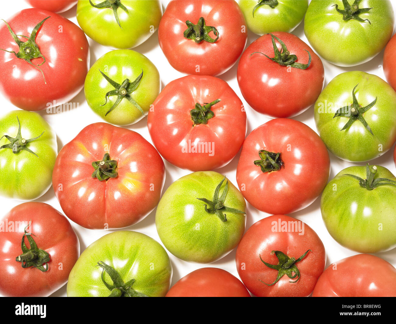 Les tomates rouges et verts, fond blanc, full frame Banque D'Images