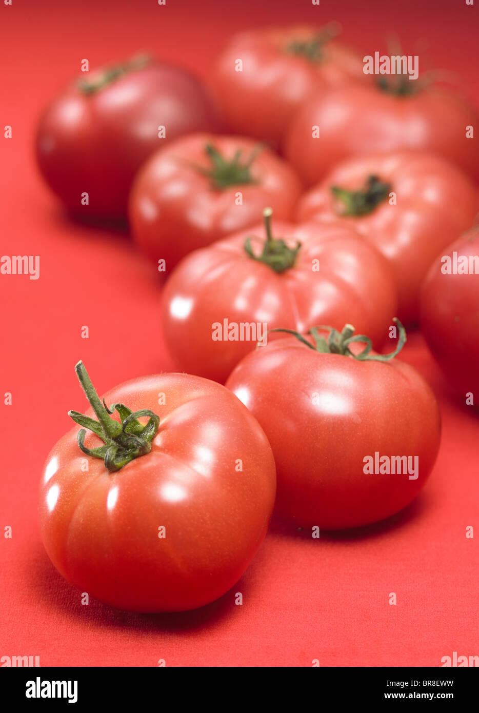 Tomates, Close up, fond rouge Banque D'Images