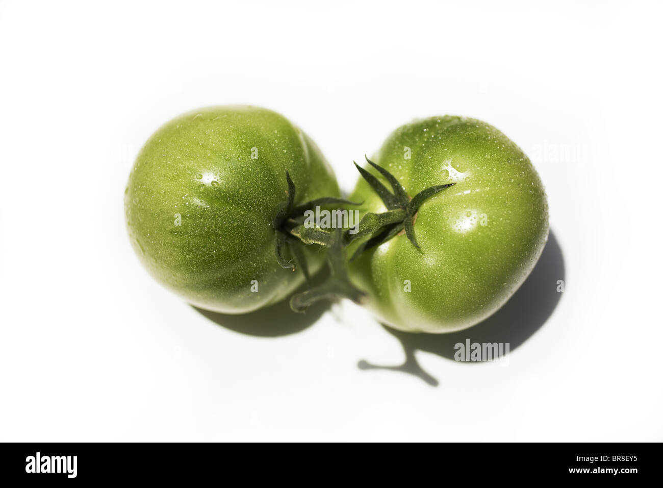 Les tomates vertes, fond blanc Banque D'Images