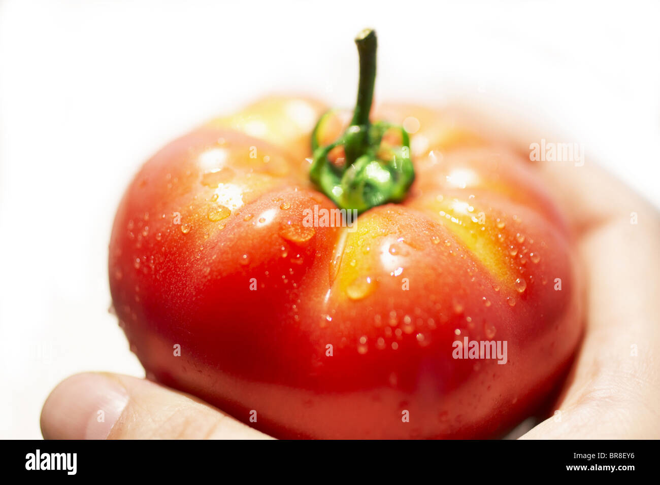 Goutte d'eau sur une tomate rouge, Close up, fond blanc Banque D'Images