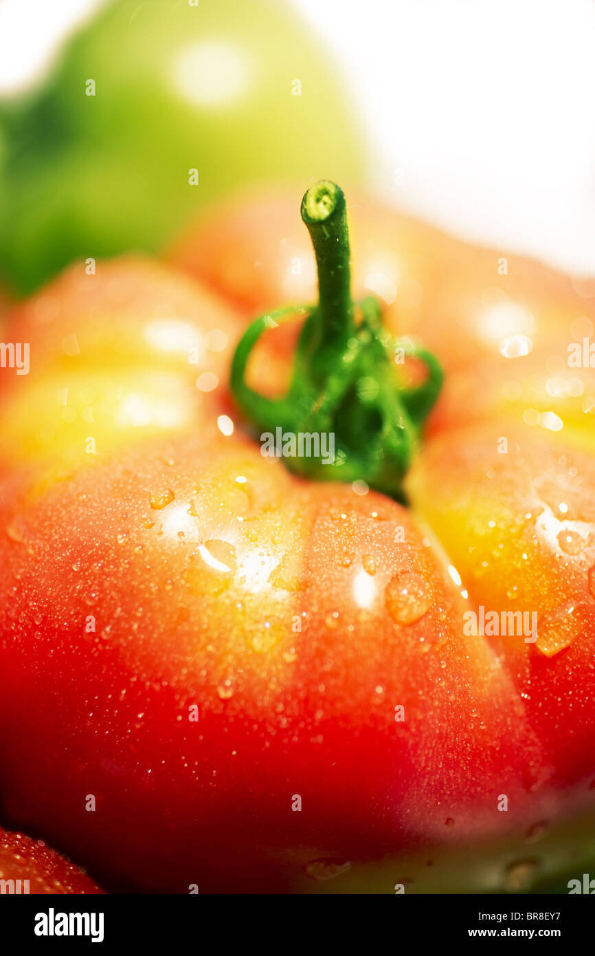 Tomate rouge, Close up Banque D'Images