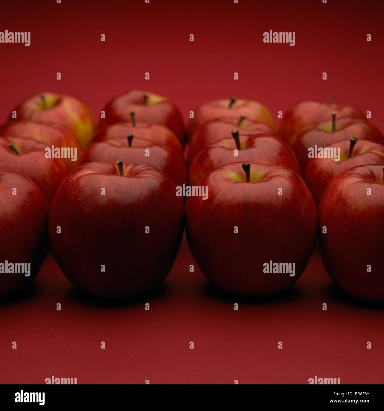 Les pommes disposées en carré, fond rouge Banque D'Images
