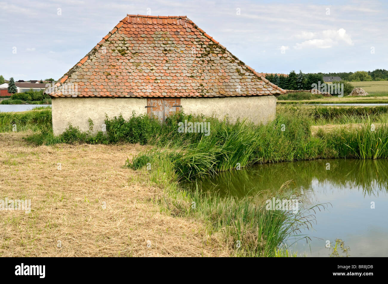 Les étangs du poisson à Höchstadt dans l'Aischgrund domaine de la Franconie, Bavière, Allemagne. Banque D'Images