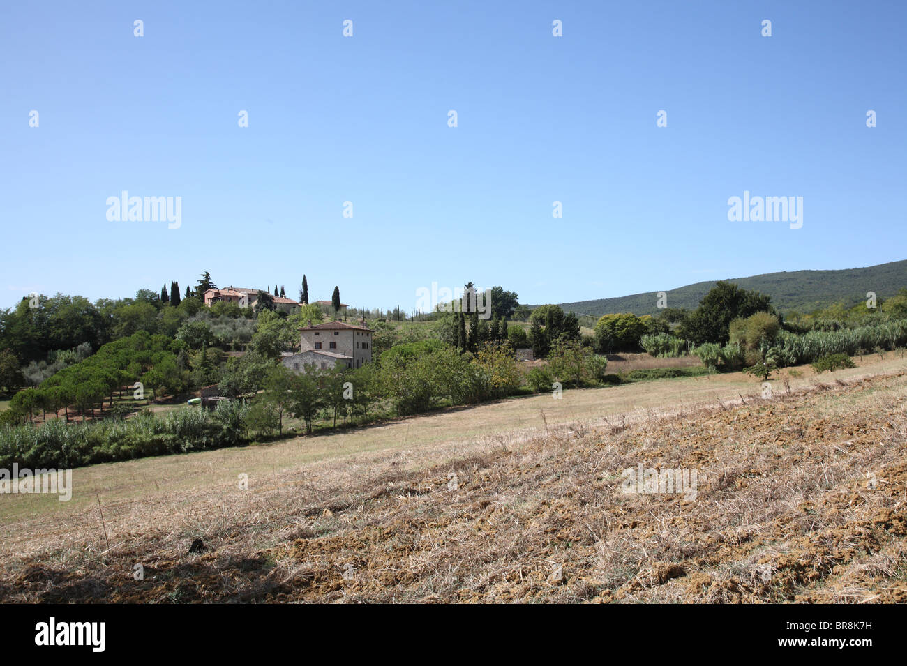 Vue sur campagne italienne, San Gimignano, Florence, Italie Banque D'Images