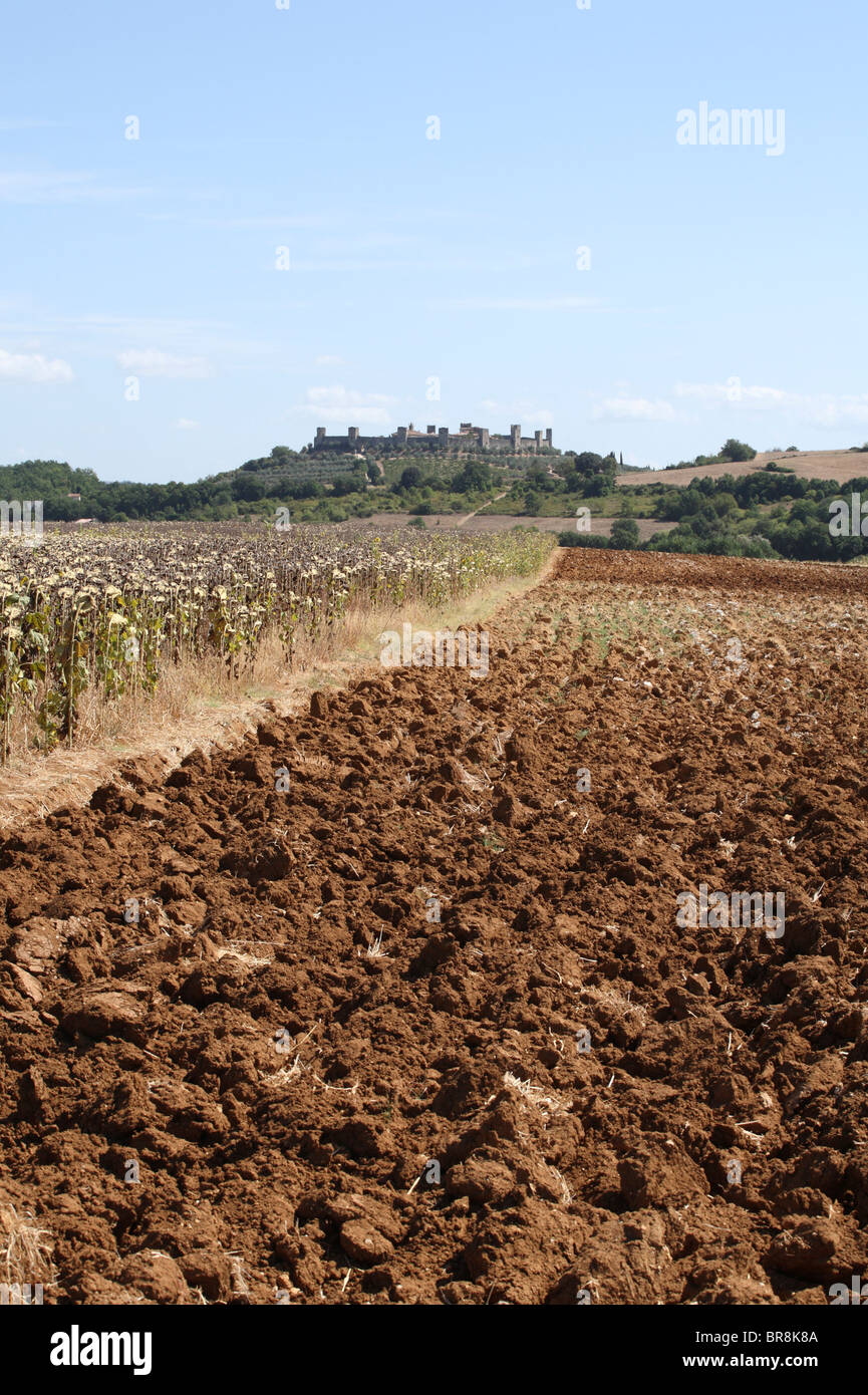 Champ ouvert, paysage urbain en arrière-plan, Monteriggioni, Italie Banque D'Images