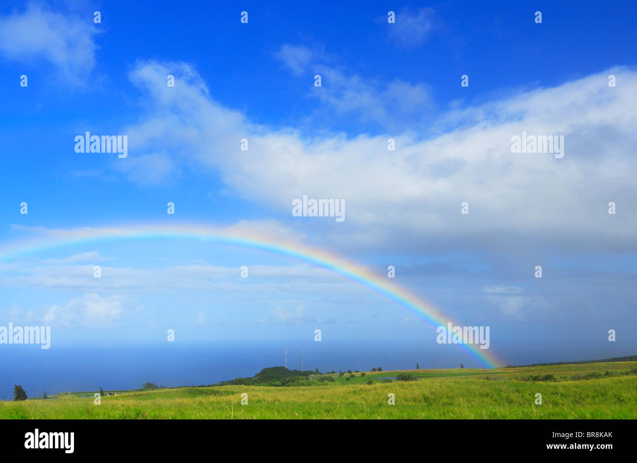 Arc-en-ciel sur Champ, Hawaii, USA Banque D'Images