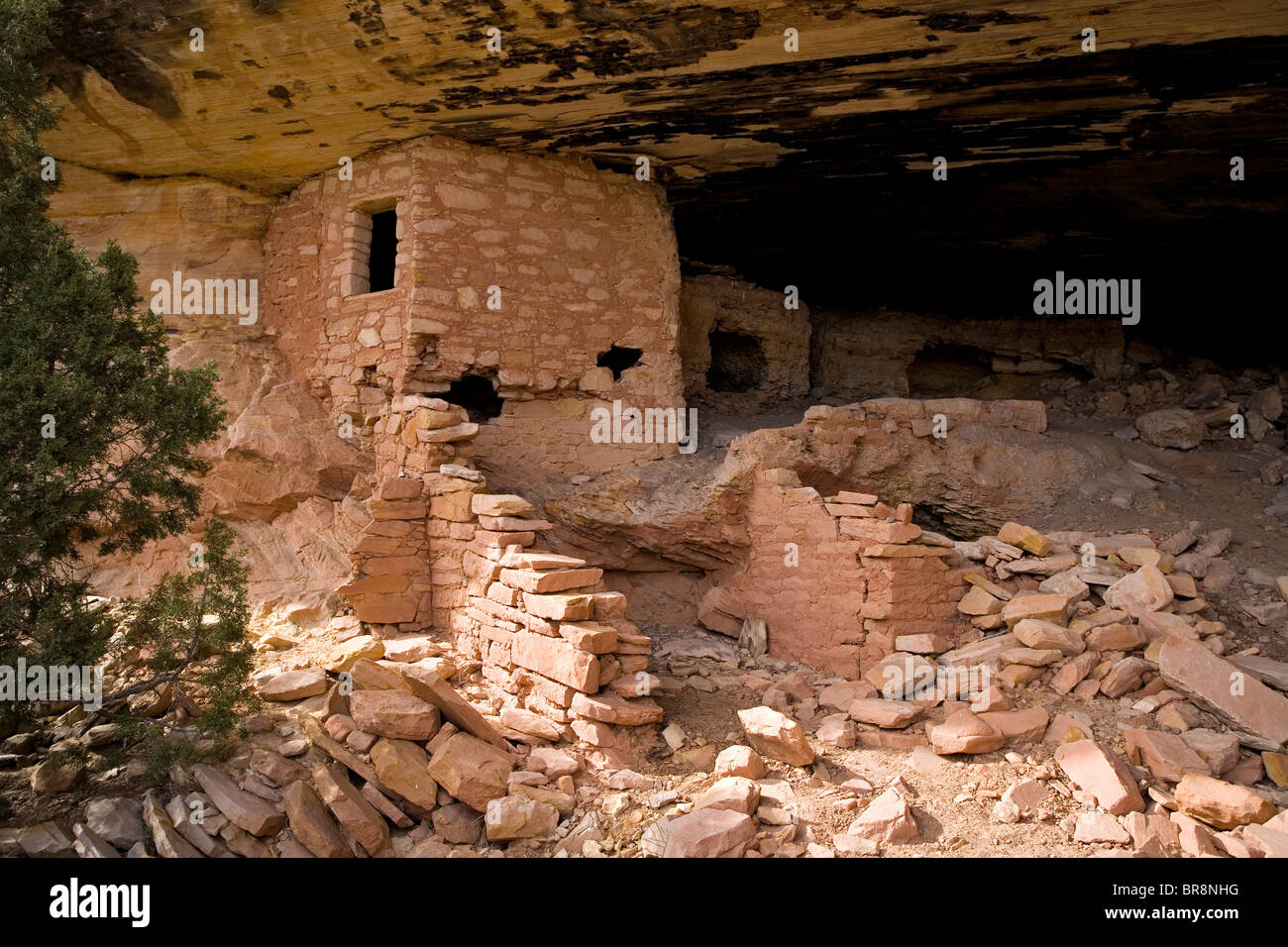 Des ruines indiennes situé sur Comb Ridge à la grande caverne ou 'Fish Mouth Cave' zone dans l'Utah. Banque D'Images