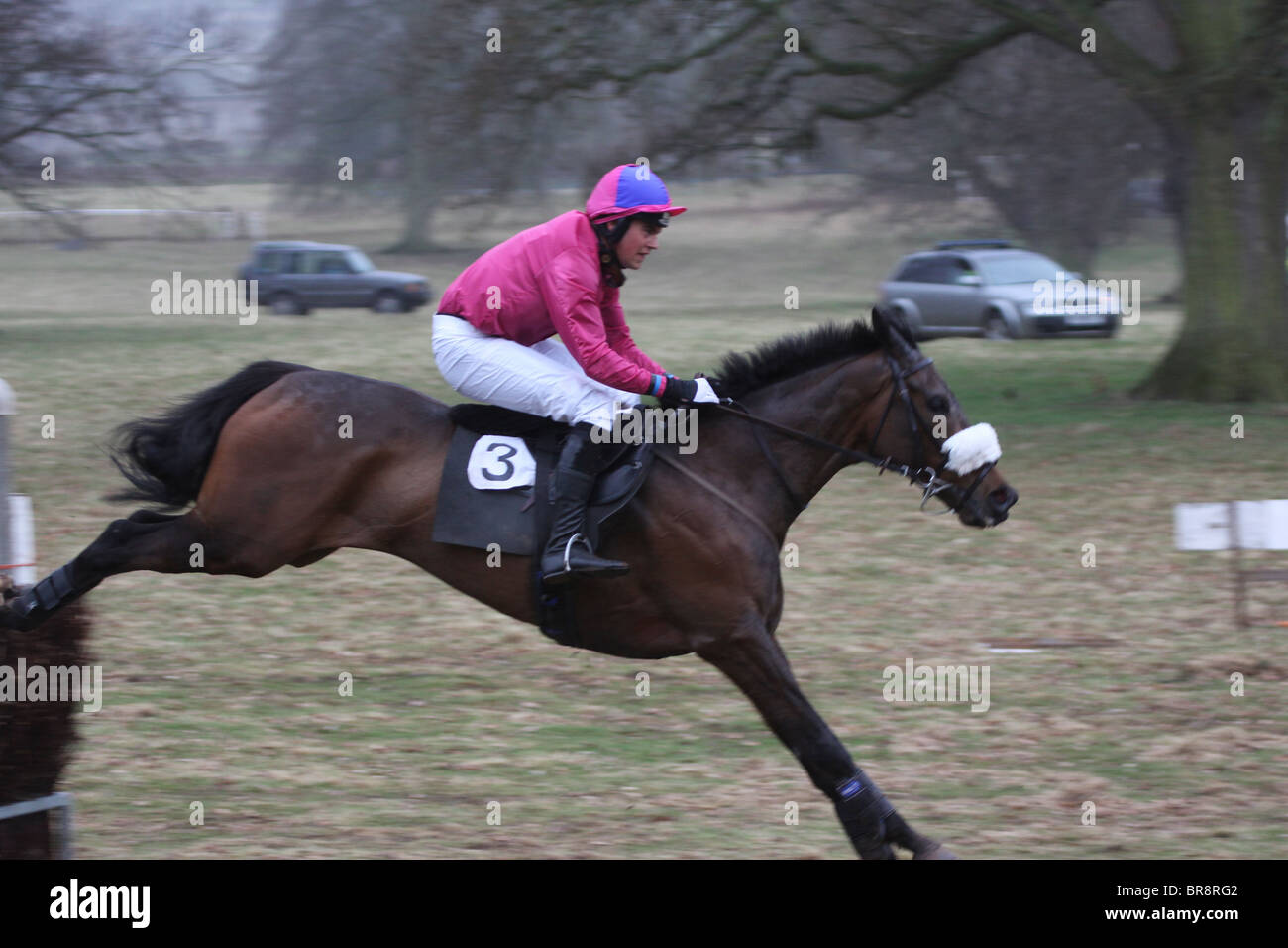 Saut à cheval une clôture au cours d'une course de point à point Banque D'Images