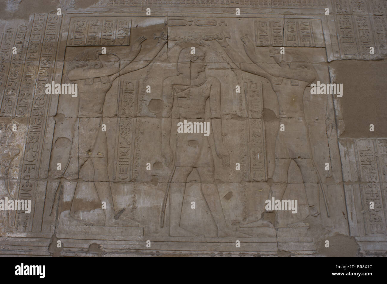 Relief représentant dieux Horus et Thot bénédiction un pharaon Ptolémée. Temple d'Horus. Edfou. L'Égypte. Banque D'Images
