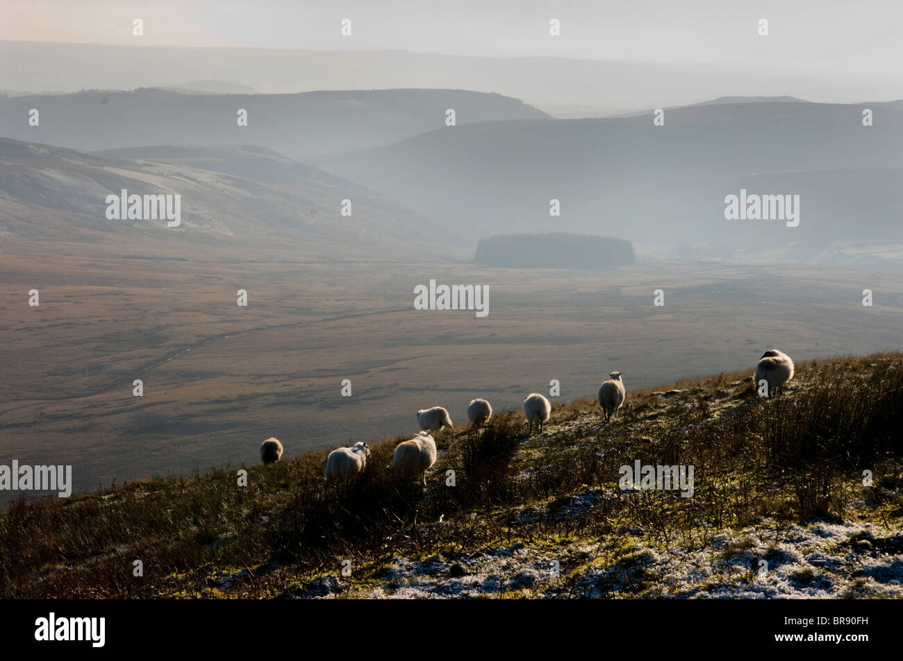 L'Europe, Royaume-Uni, pays de Galles, Powys, Abergwesyn, commun Banque D'Images