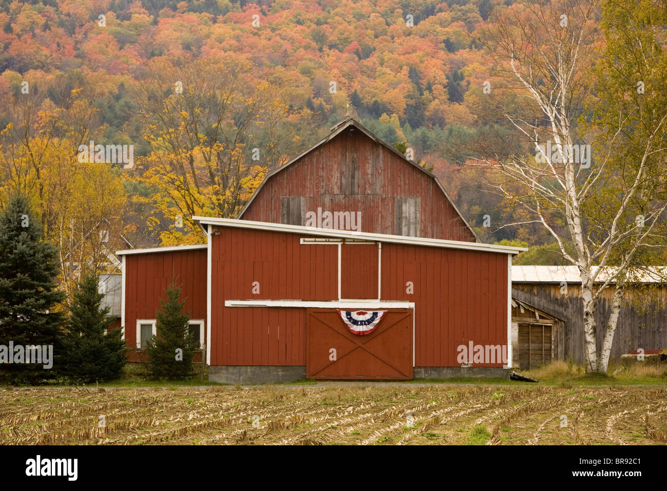 La quintessence de la Nouvelle Angleterre grange rouge est en contraste au milieu des magnifiques couleurs de l'automne près de Taftsville Vermont. Banque D'Images
