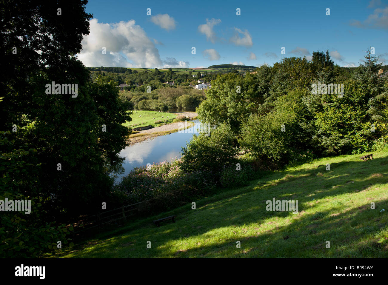 La rivière Teifi / Tivy, Newcastle Emlyn, Ceredigion Pays de Galles UK Banque D'Images