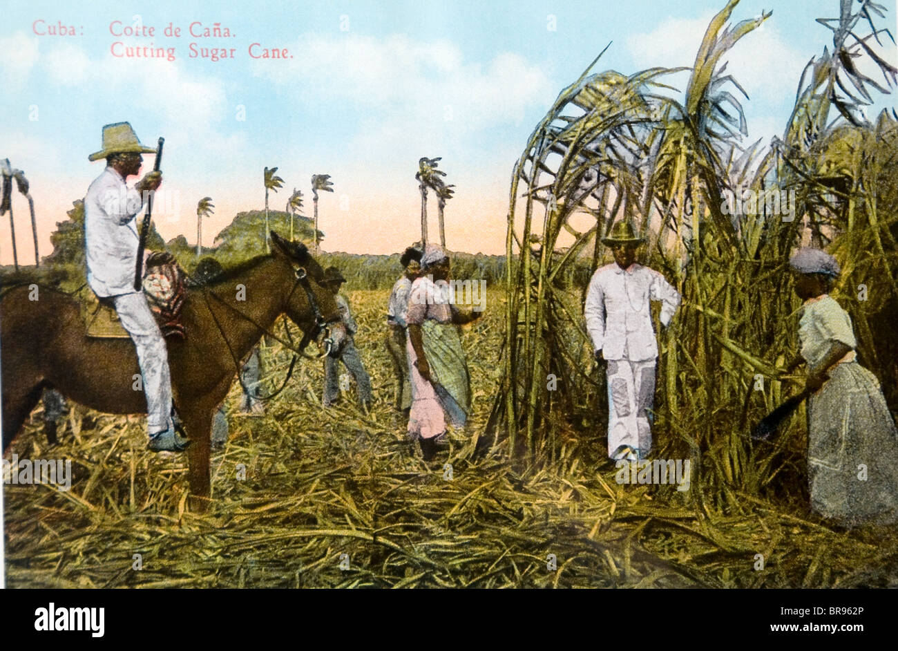 De canne à sucre cubain Cuba 1930 Peinture Banque D'Images