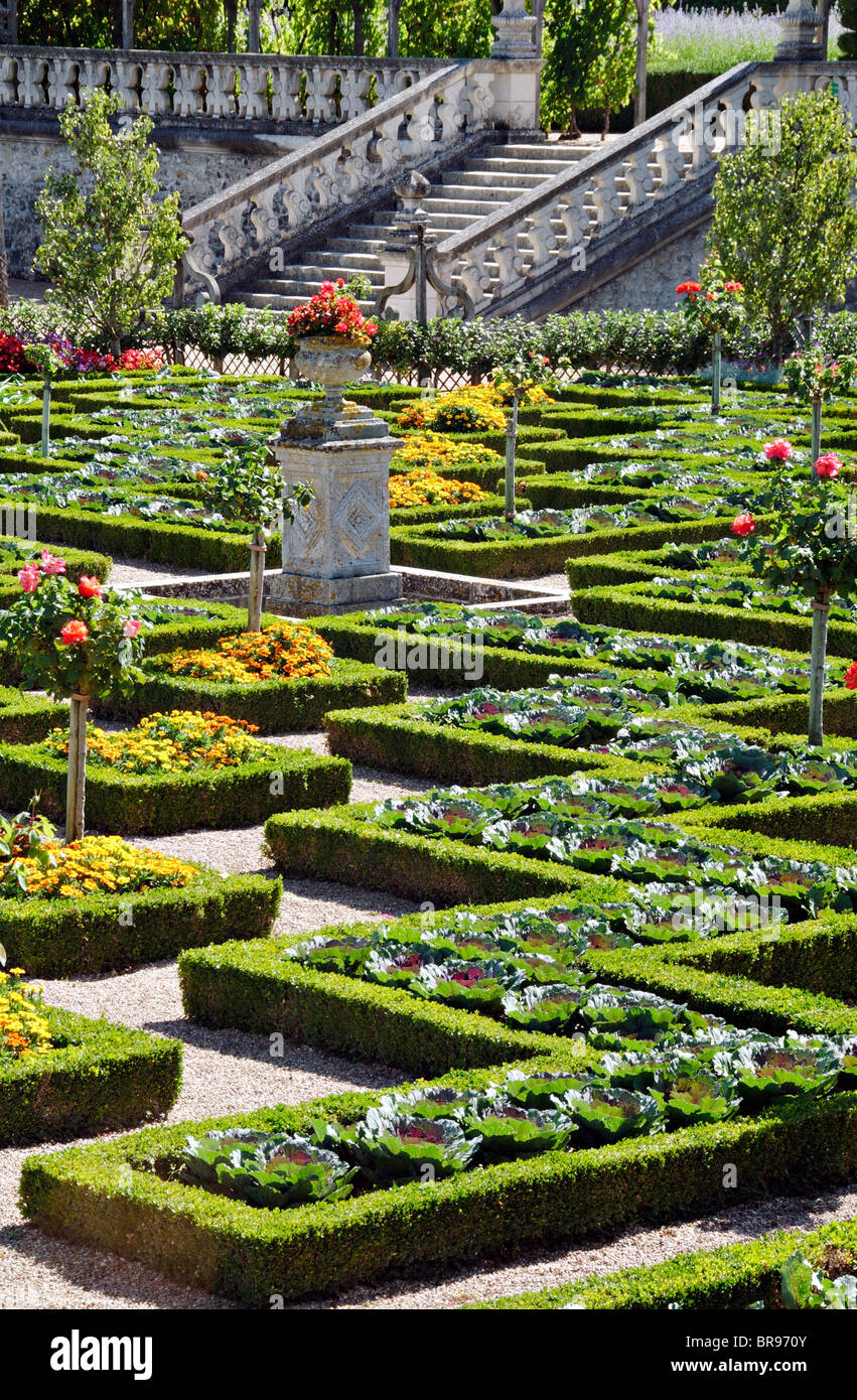 Jardins à la française, le château de Villandry, vallée de la Loire, France Banque D'Images