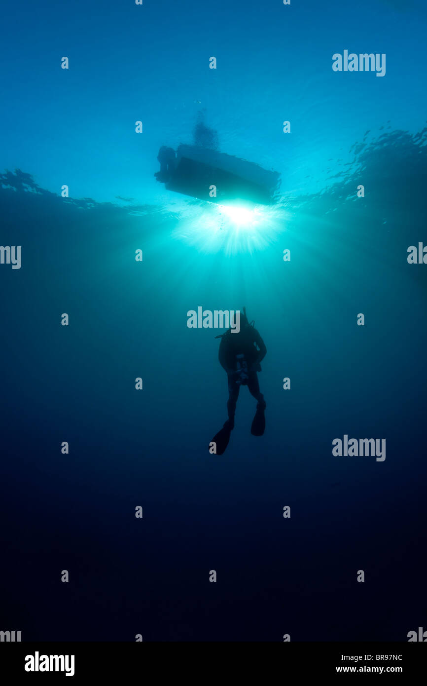 Silhouette d'un plongeur à Cuba Banque D'Images