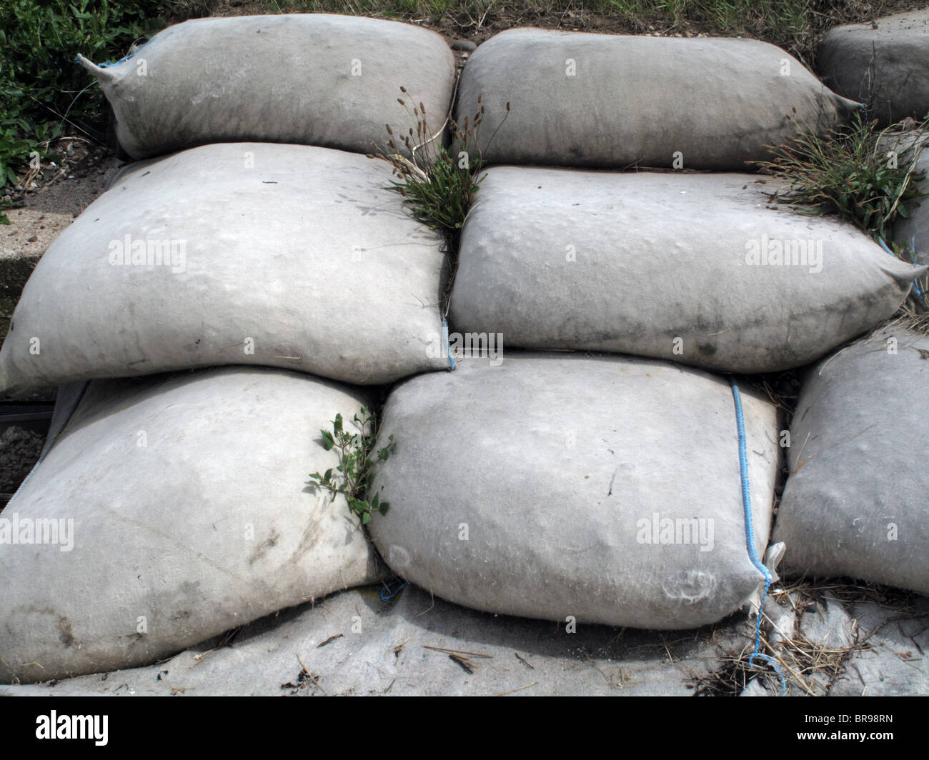 L'érosion de la rivière / côtières avec des sacs de sable pour prévenir les inondations et de ruines de maisons et de la route. Banque D'Images