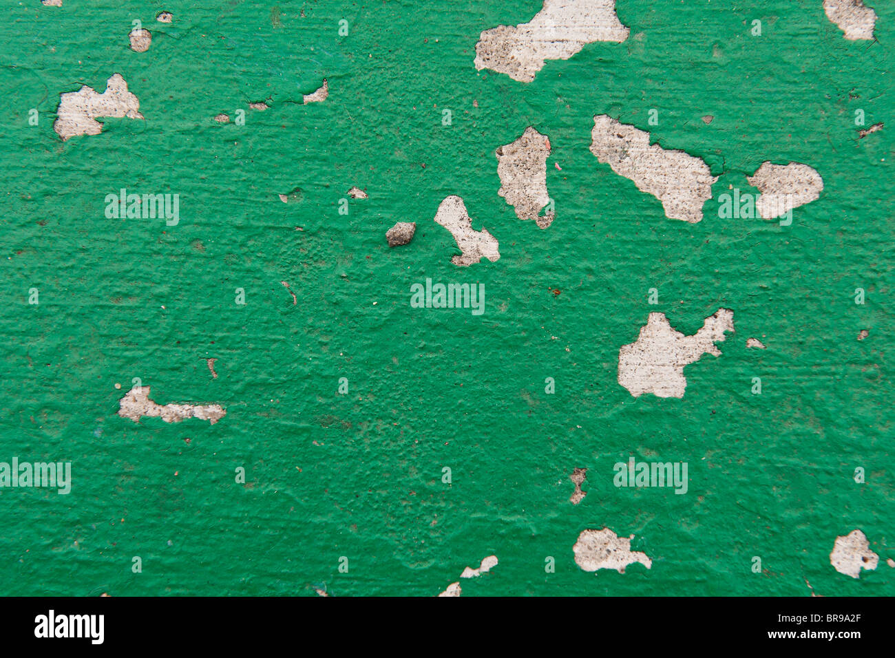 Still Life, de la peinture sur mur Banque D'Images