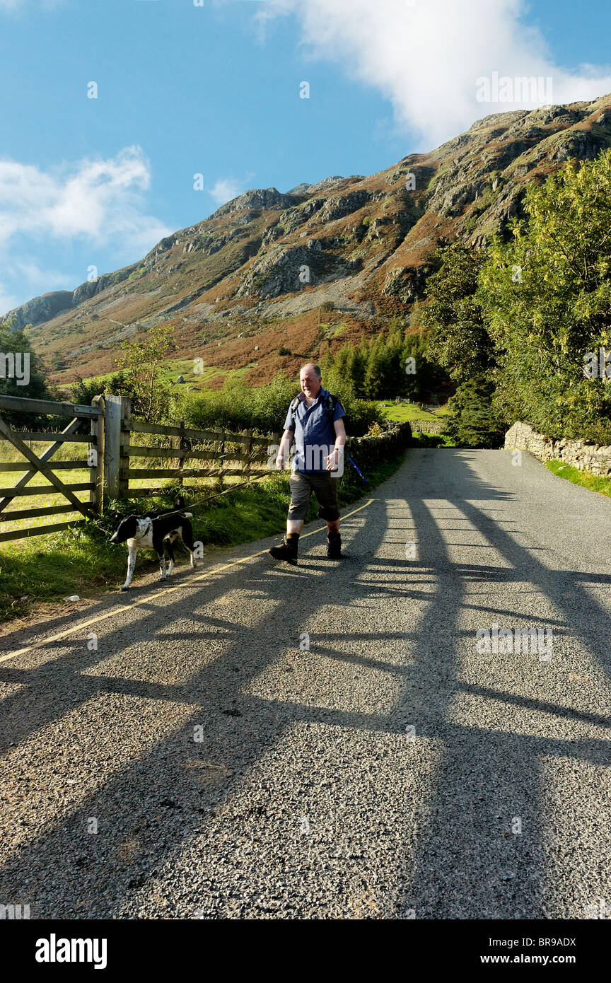 Un homme qui marche un chien sur une route à Langdale dans le Lake District Banque D'Images