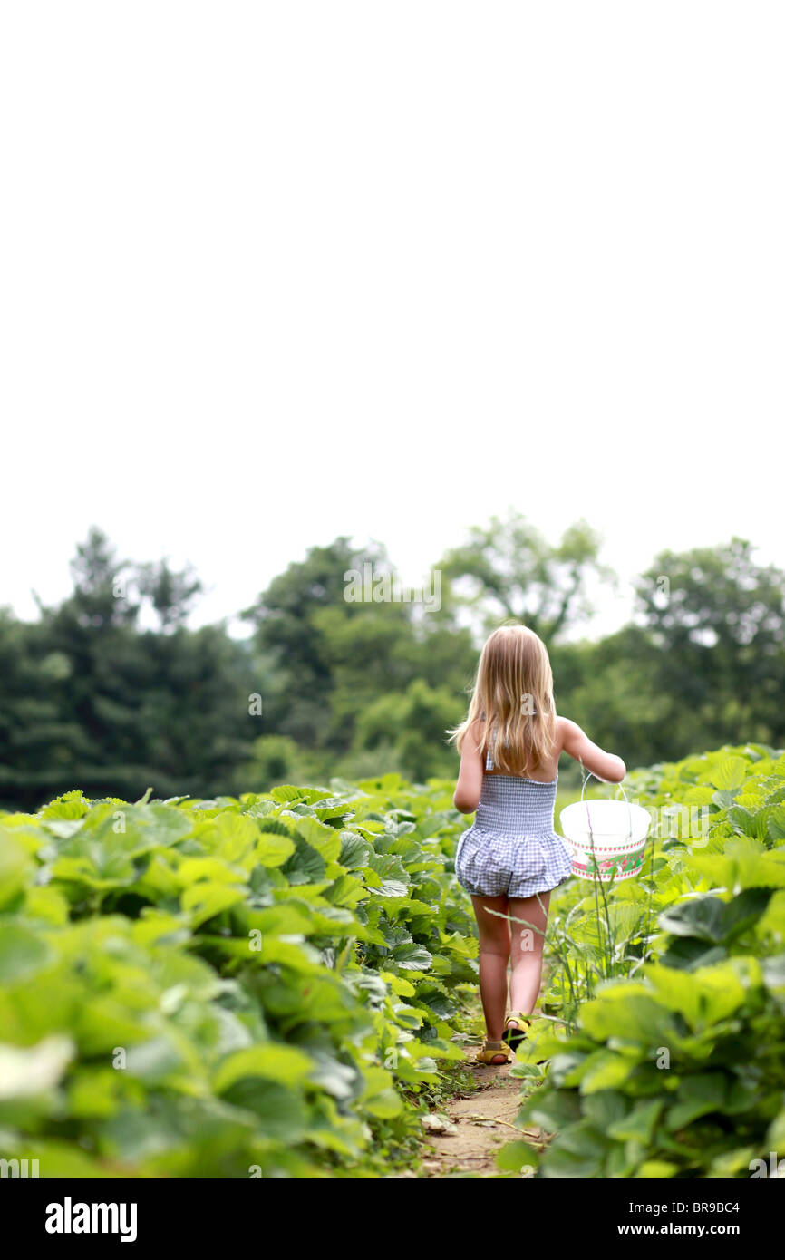 Petite fille dans un champ de fraises Banque D'Images