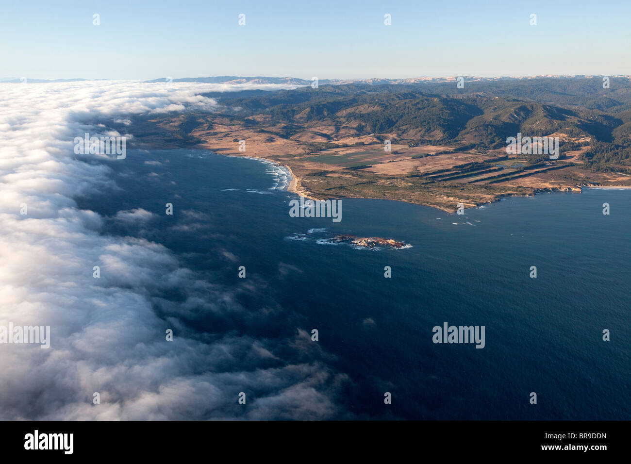 Ano Nuevo à partir de l'air Banque D'Images