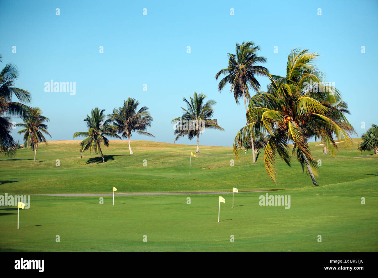 Club de Golf de Varadero Varadero Cuba Banque D'Images